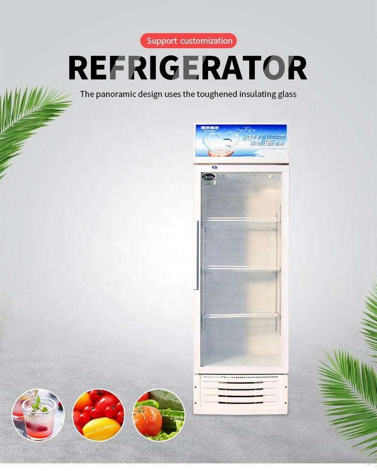 Low Price Commercial Glass Display Showcase Drink Coolers Beverage Refrigerator for Sale