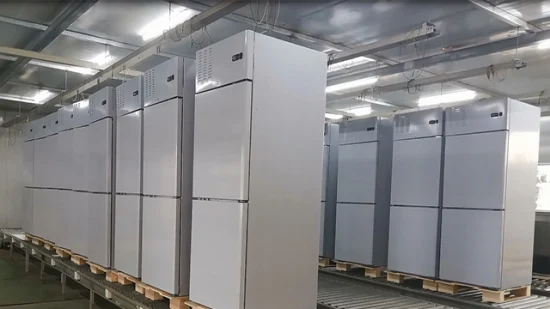 Commercial Freezer, Upright Freezer CF40 Refrigeration Equipment