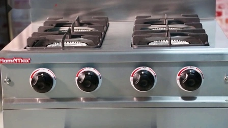 Basic Customization 4 Burners Gas Cooking Range with Gas Oven (HGR