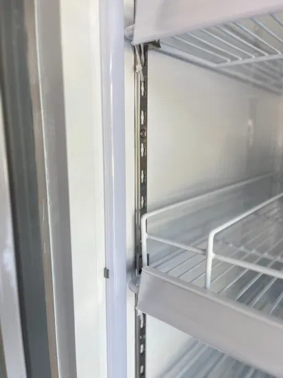 Display Upright Freezer High Quality Commercial Storage Chiller Fridge Beverage Cooler Refrigerator