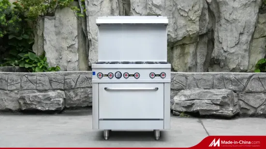 Rgr60 Freestanding Commercial 10 Burners Gas Range with Double Ovens